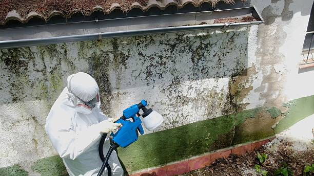 Top rated local Mold Remediation specialists in Algonquin, MD